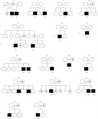 Clinical features and mutational analysis of X-linked agammaglobulinemia patients in Malaysia